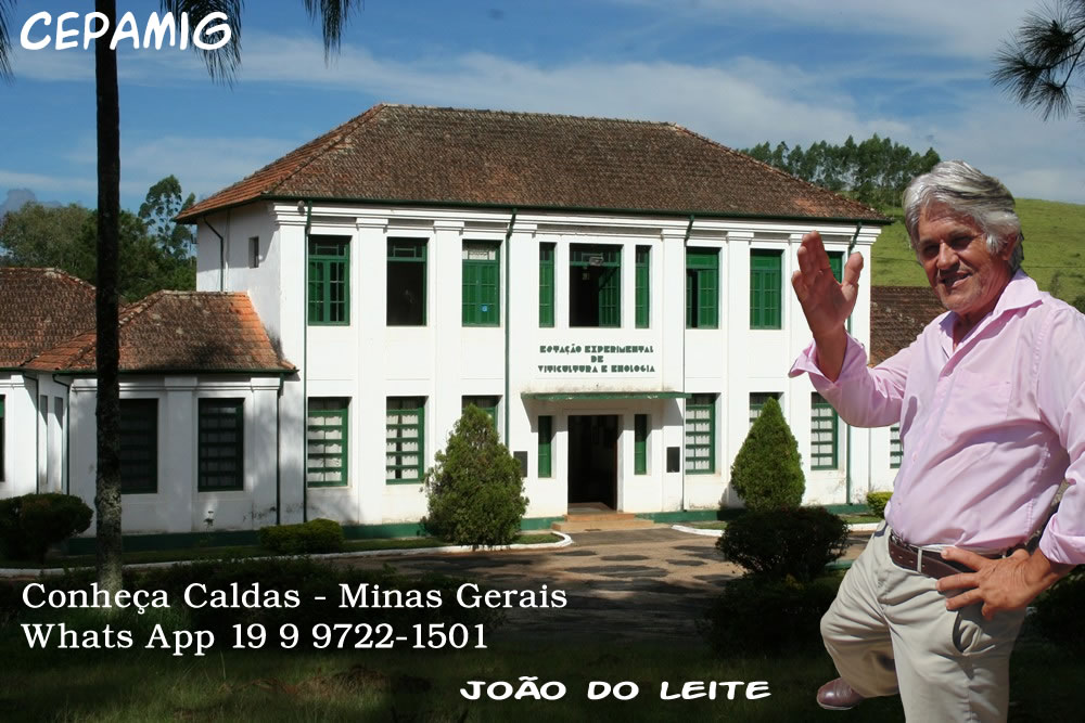 Caldas, vinho de Getúlio Vargas
